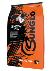 Sunglo Show Pig front